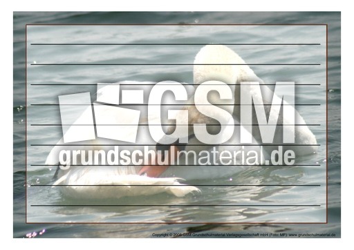 Schmuckrahmen-Höckerschwan-1.pdf